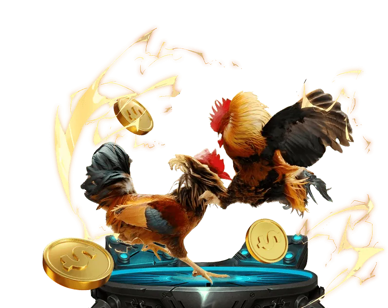 Cá cược có trách nhiệm 6623com